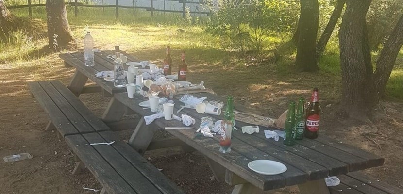 Inciviltà stamani a La Pineta Inciviltà stamani a La Pineta