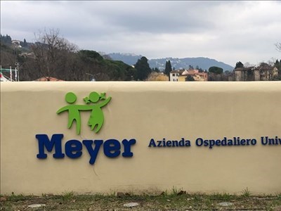 Il Meyer di Firenze