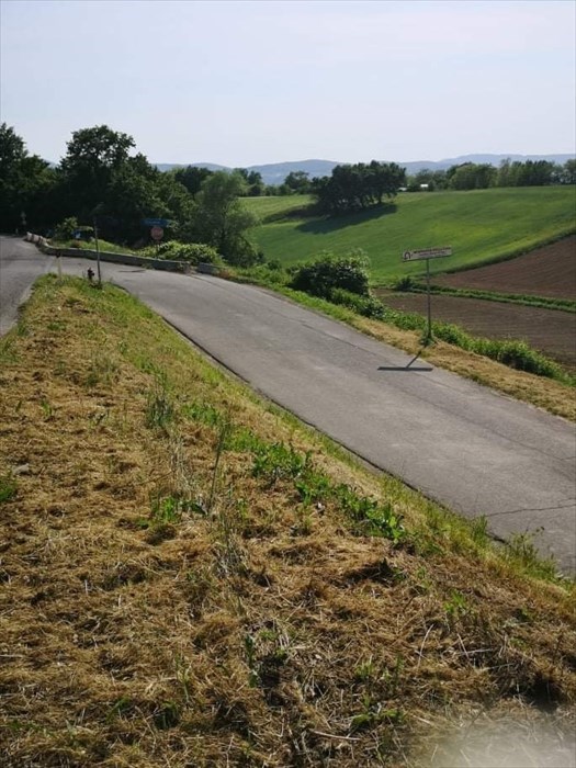 Le condizioni della strada