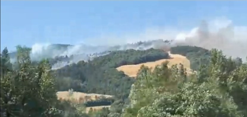 L’incendio a Monte Romano