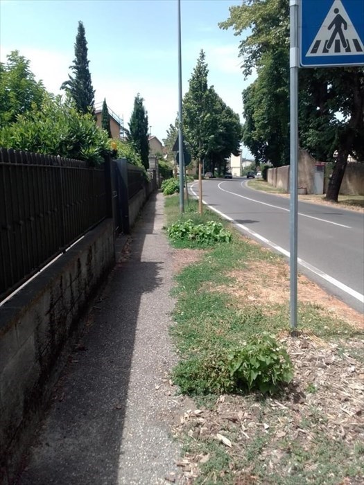 Il tratto in questione