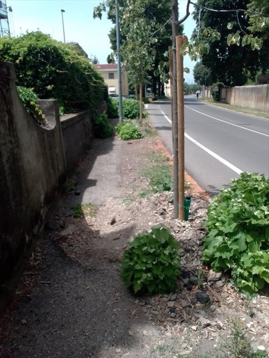 Il tratto in questione