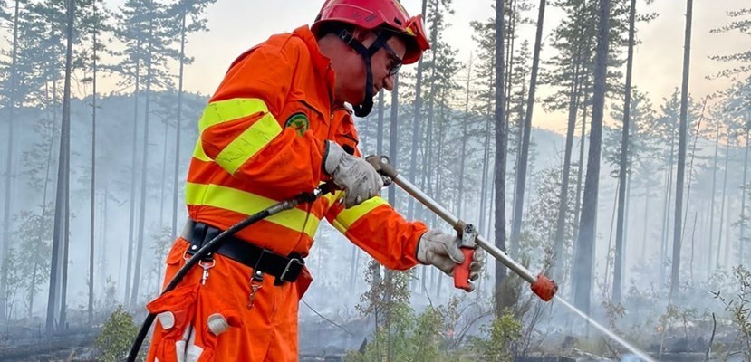 Personale Vab in azione