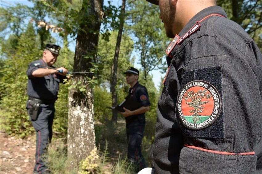 Carabinieri Forestali