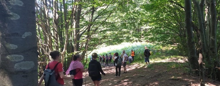 Pale eoliche e crinale appenninico. Una lettera in redazione