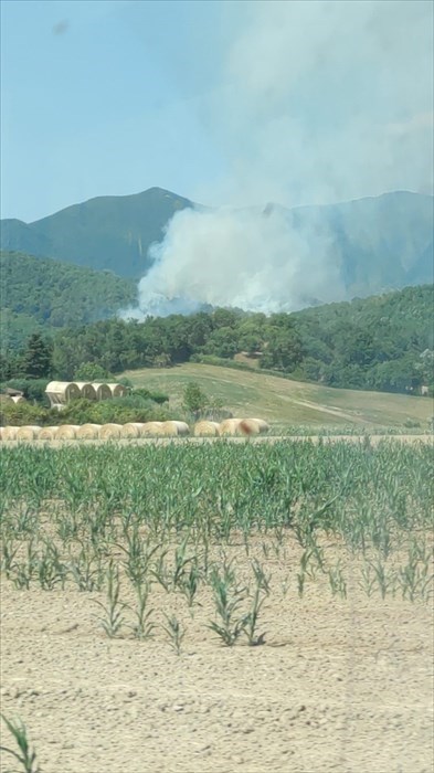 La colonna di fumo