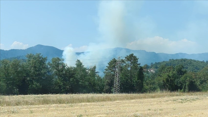 La colonna di fumo