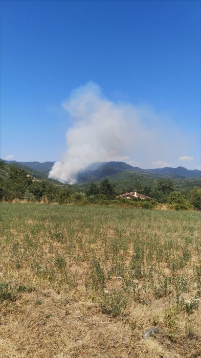 La colonna di fumo