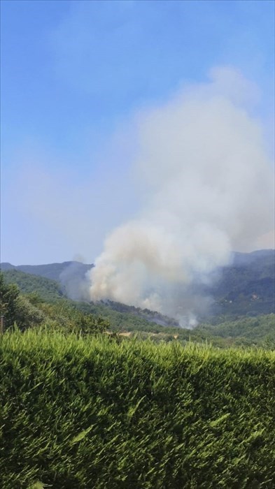 La colonna di fumo