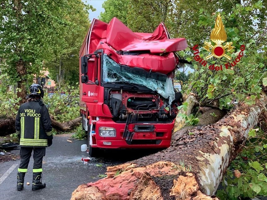 Il soccorso al conducente del mezzo pesante intrappolato dalla caduta di un albero a Pistoia