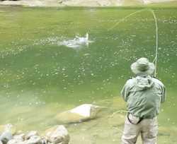 In Toscana i campionati mondiali di pesca sportiva. Info