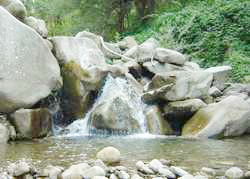 Raduno naturista sul Diaterna