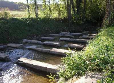 I nostri fiumi sono sicuri? Il bilancio di un anno di bonifica