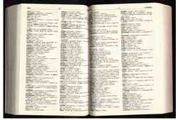 'Ganzo e 'Cencio'. Le prime voci del vocabolario del Fiorentino