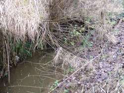 Acque inquinate a Pianvallico. 500mila euro per la bonifica