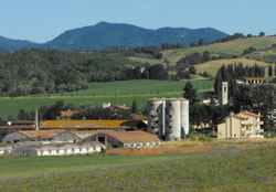 Rischio degrado per le ex stalle di Galliano