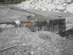 Grido di allarme per Bilancino: rischio interramento e inquinamento