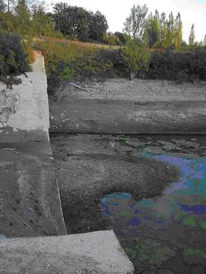 Grido di allarme per Bilancino: rischio interramento e inquinamento