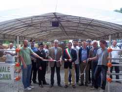 Borgo. Continua la Fiera Agricola. Foto...