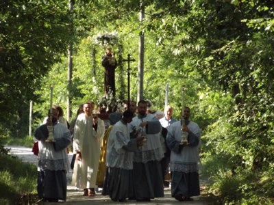 Bosco ai Frati, una processione nel bosco.