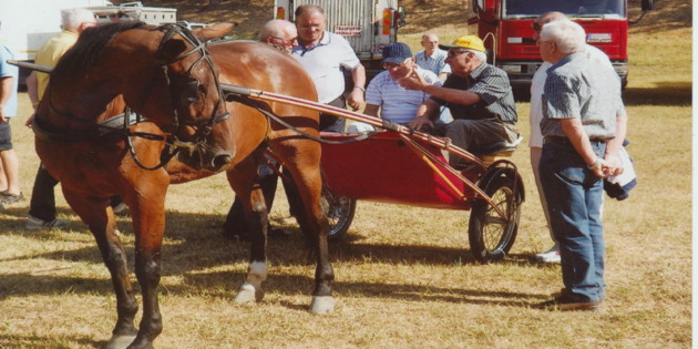 Vicchio: grande successo per la Fiera Zootecnica