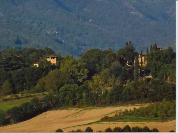 Risolto l'indovinello di OK!Mugello. Vincitore e storia della foto