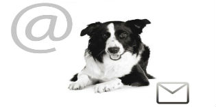 Poker d’Assi per “E mail a quattro zampe” di Gianna Botti.