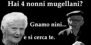 'Gnamo Nini'. Rush finale per la campagna di ricerca