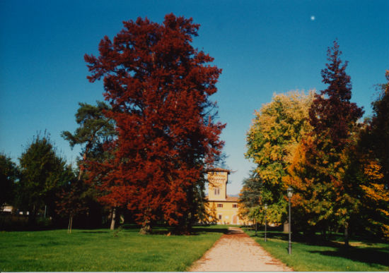 Borgo. Racconti della prima Guerra Mondiale, sabato a Villa Pecori