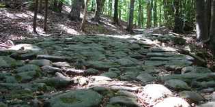 Mugello: alla scoperta della strada romana Flaminia Militare