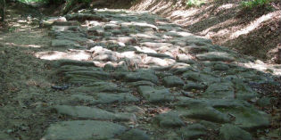 Flaminia Militare. Un documentario (anche) sul Mugello