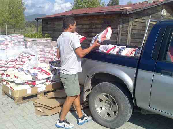 Lupo. Quintali di cibo gratis ai cani da pastore...