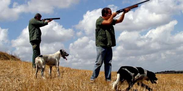 I cacciatori, i cani e gli animali. Interviene Federcaccia Firenze