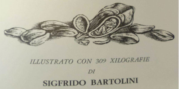 Pinocchio: dodici anni di gioia e sofferenza nel diario di Sigfrido Bartolini