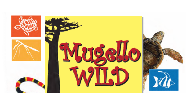 Il Mugello è Wild. Da sabato, tutte le info