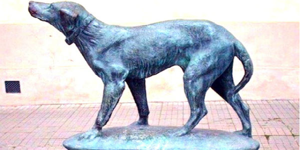 L’anniversario della Morte di Fido