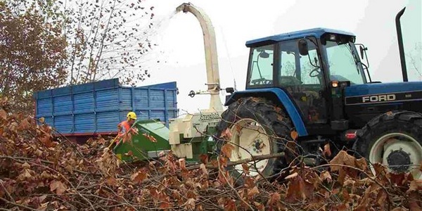 Il Pellet senza centrale? Per Italia Nostra non ha più senso, la nota