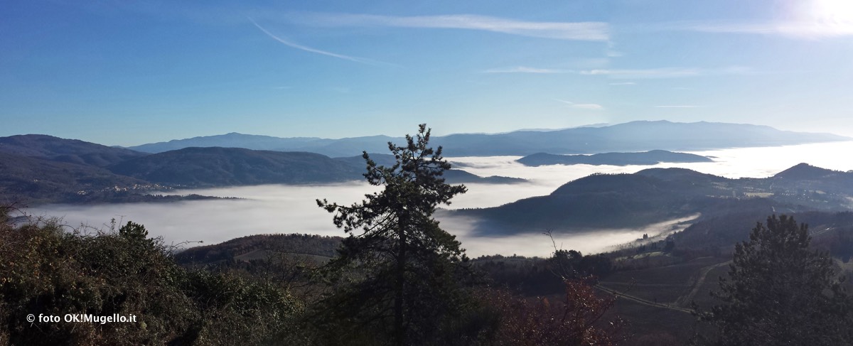 Nebbia e Mugello. Che accadrebbe con le biomasse? Parola a un esperto (mugellano)