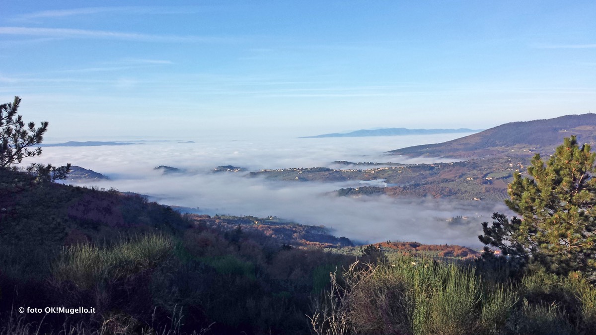 Nebbia e Mugello. Che accadrebbe con le biomasse? Parola a un esperto (mugellano)