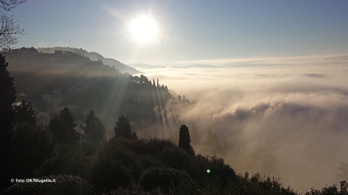 Nebbia e Mugello. Che accadrebbe con le biomasse? Parola a un esperto (mugellano)