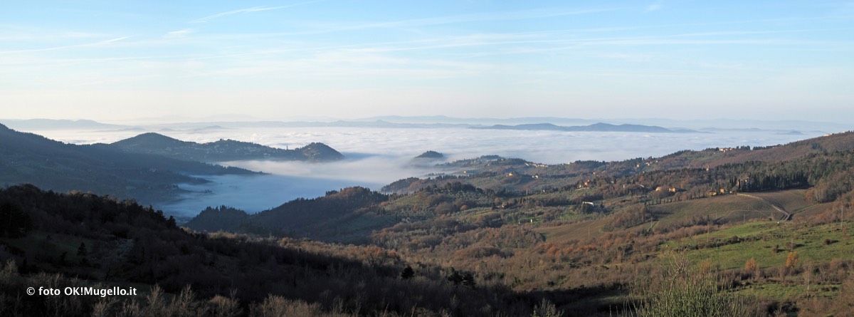 Nebbia e Mugello. Che accadrebbe con le biomasse? Parola a un esperto (mugellano)