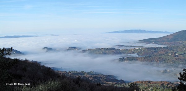 Nebbia e Mugello. Che accadrebbe con le biomasse? Parola a un esperto (mugellano)