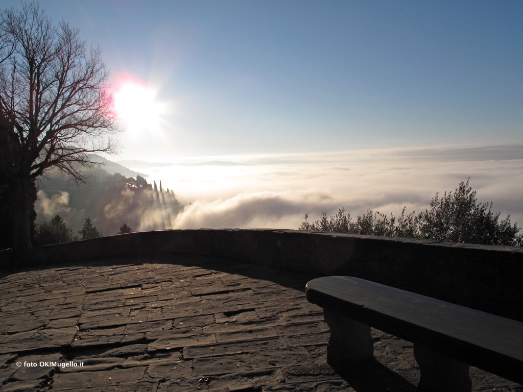 Nebbia e Mugello. Che accadrebbe con le biomasse? Parola a un esperto (mugellano)