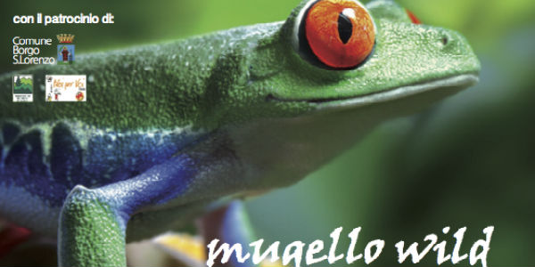 Il Mugello è sempre più Wild . Info e orari