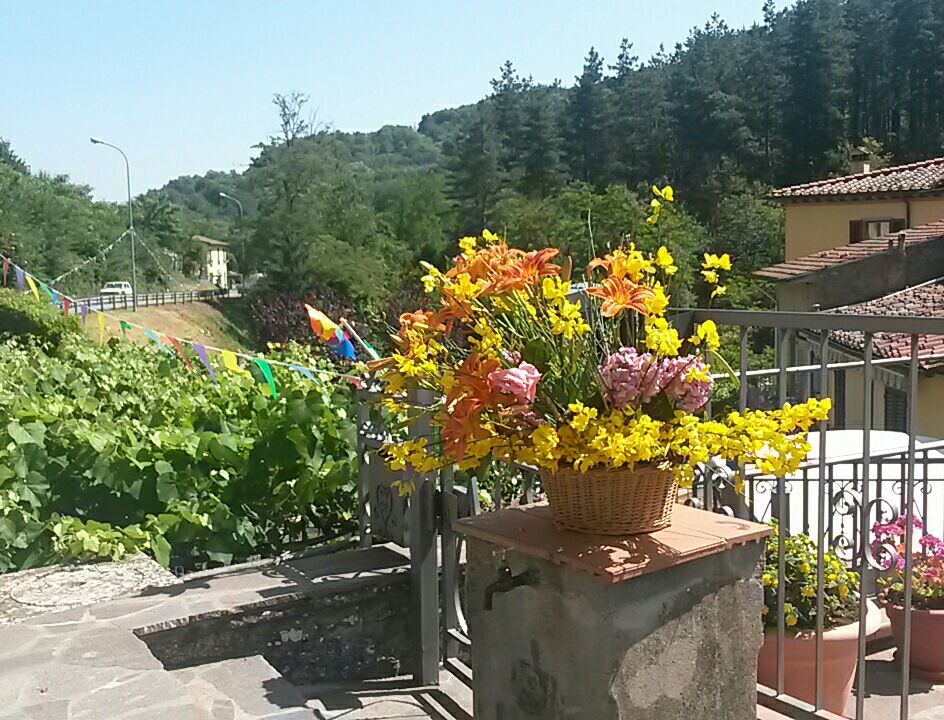 Vaglia Colorata, esito della gara tra frazioni. E tante foto