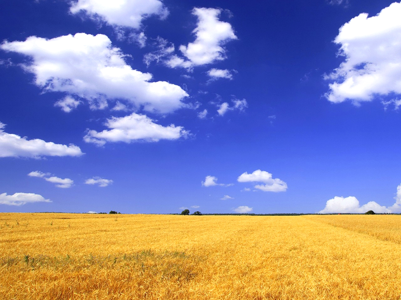 Meteo Mugello. Le previsioni per il fine settimana