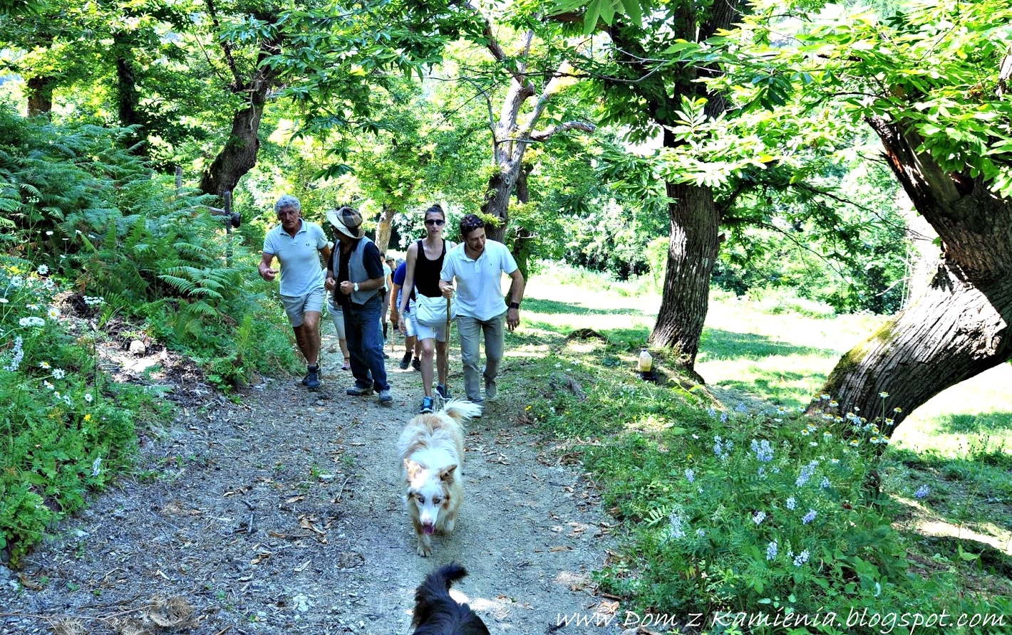 Marradi: trekking nel Castagneto, nella bellezza dell’Appennino
