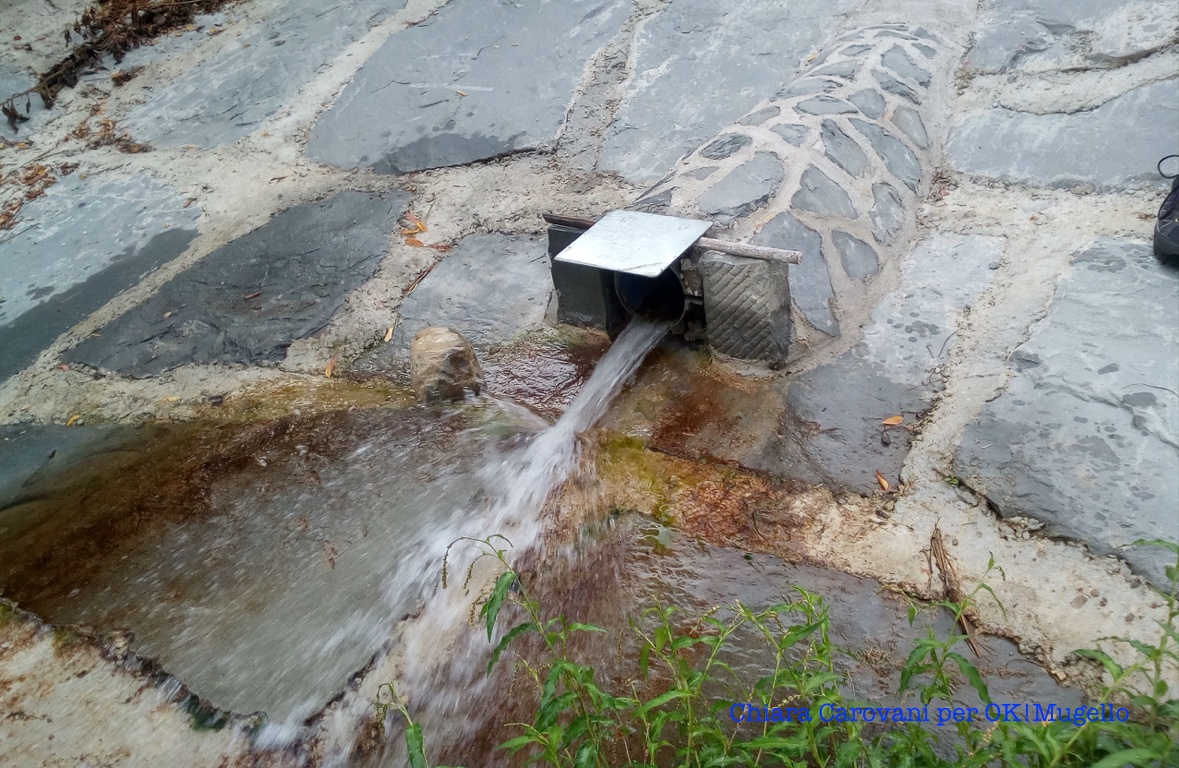 torrente_carza_02