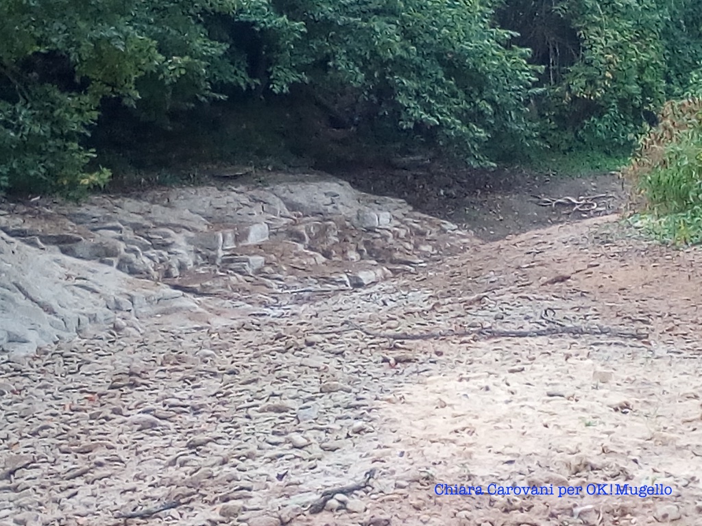 torrente_carza_08