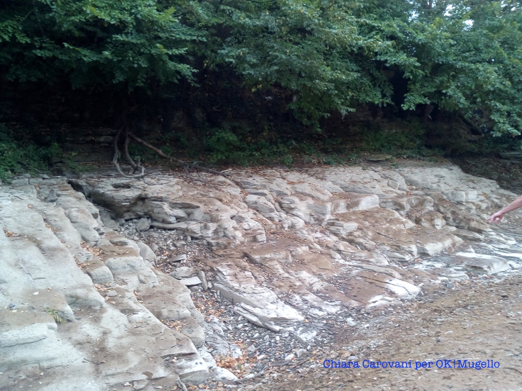 torrente_carza_09